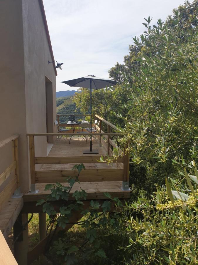 Villa Mas del Roumany Port Vendres Exterior foto